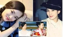 贵圈爆料娱乐圈的小说,揭秘明星背后的秘密